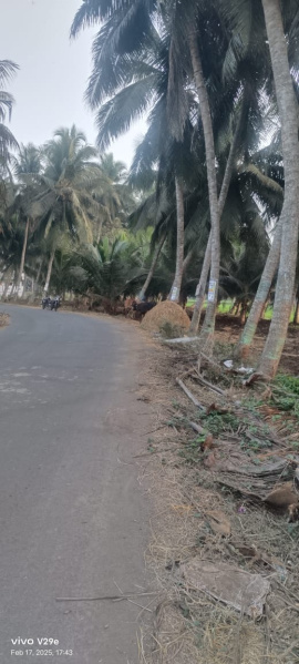  Residential Plot 30 Cent for Sale in Muramalla, East Godavari