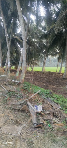  Residential Plot 30 Cent for Sale in Muramalla, East Godavari