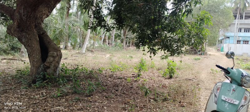  Agricultural Land 39 Cent for Sale in Razole, East Godavari
