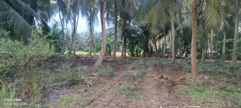  Agricultural Land 50 Cent for Sale in Mummidivaram, East Godavari