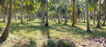  Residential Plot for Sale in Mummidivaram, East Godavari
