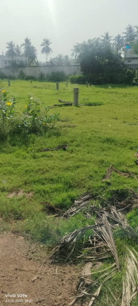  Residential Plot 6 Cent for Sale in Amalapuram, East Godavari