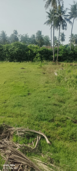  Residential Plot 6 Cent for Sale in Amalapuram, East Godavari