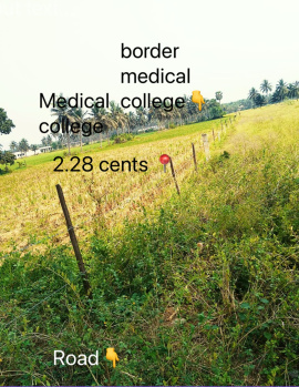  Agricultural Land for Sale in Amalapuram, East Godavari