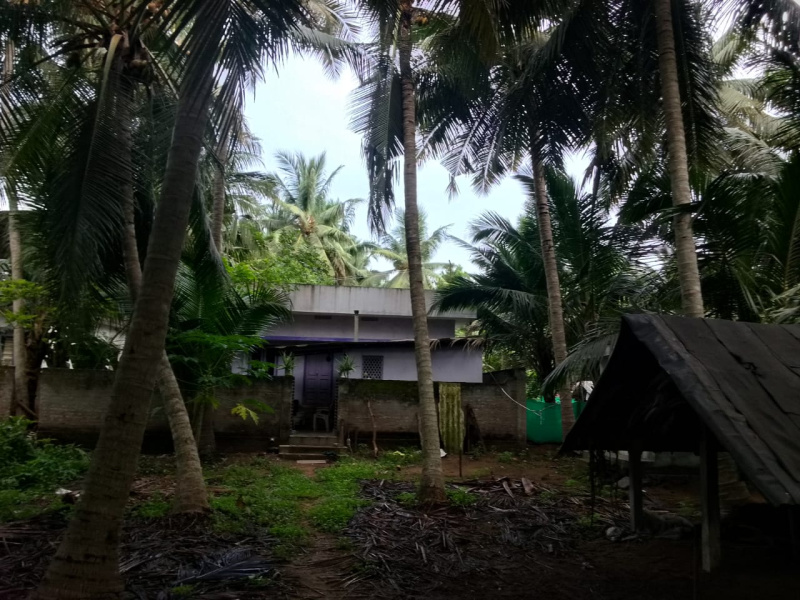 2 BHK House 13 Cent for Sale in Razole, East Godavari