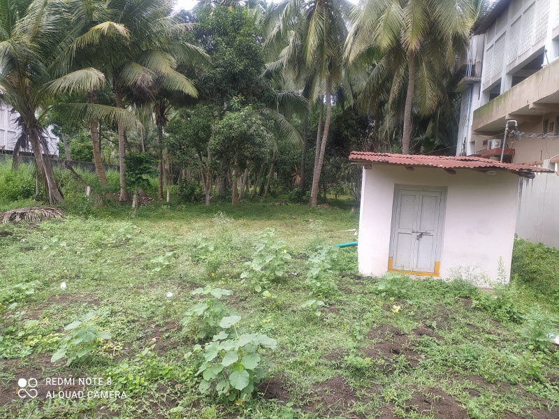  Residential Plot 34 Cent for Sale in Amalapuram, East Godavari