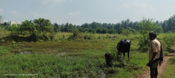  Residential Plot for Sale in Amalapuram, East Godavari