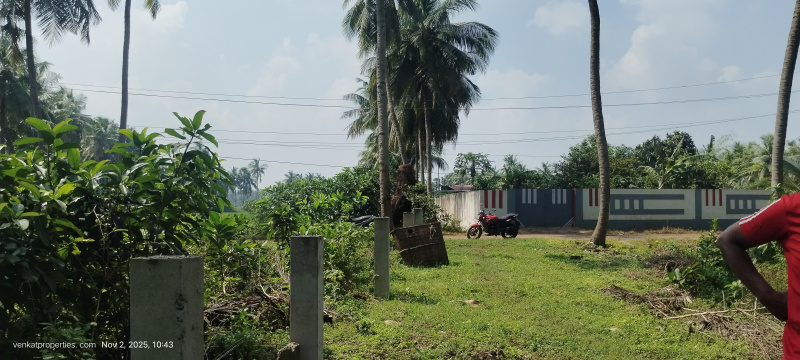  20 Cent Agricultural/Farm Land for Sale in Amalapuram, East Godavari