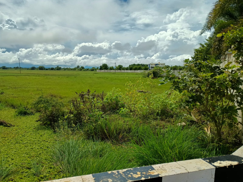 167 Cent Agricultural/Farm Land for Sale in Tada, Nellore
