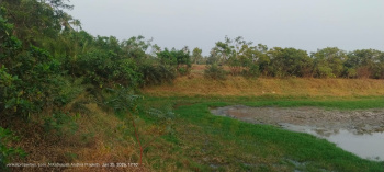  Agricultural Land for Sale in Uppalaguptam, East Godavari