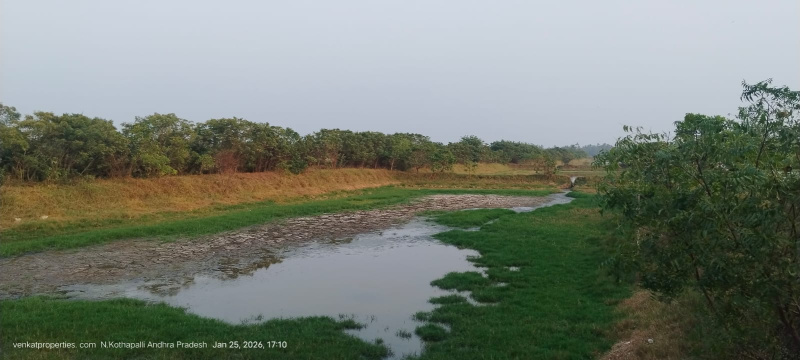  2 Acre Agricultural/Farm Land for Sale in Uppalaguptam, East Godavari