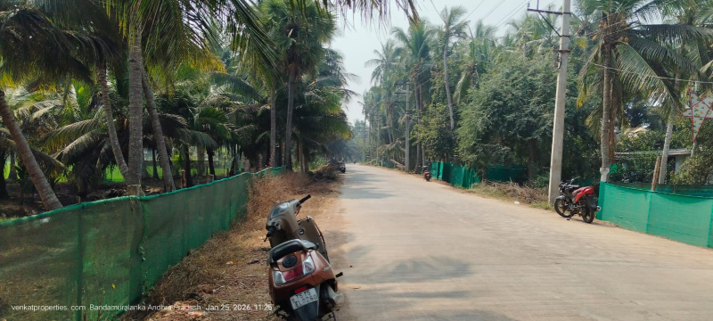  1 Acre Agricultural/Farm Land for Sale in Amalapuram, East Godavari