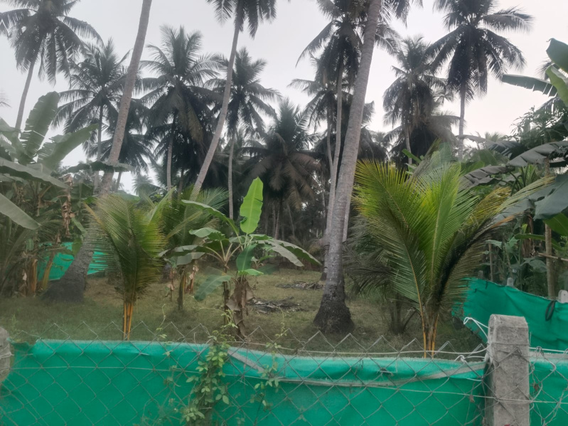  12 Cent Residential Plot for Sale in Razole, East Godavari