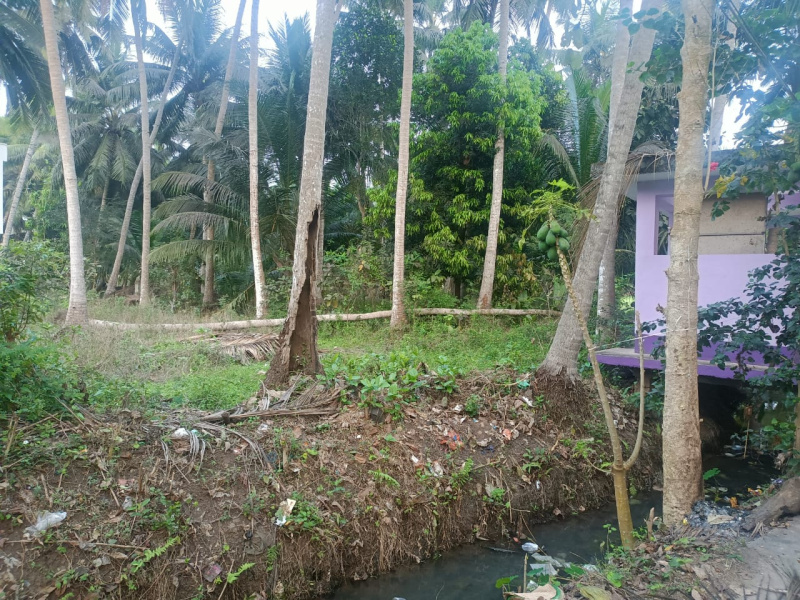  5 Cent Residential Plot for Sale in Razole, East Godavari