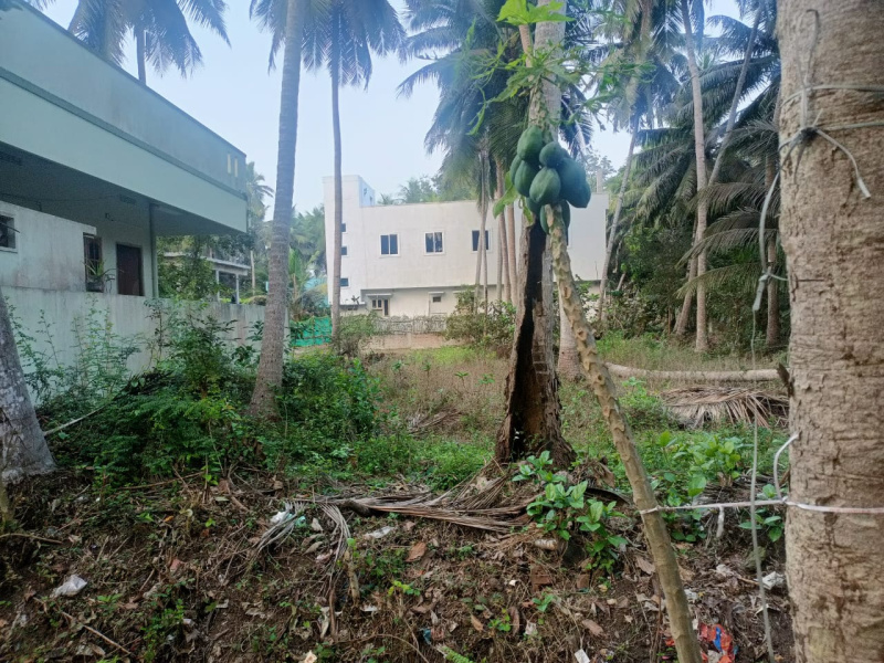  5 Cent Residential Plot for Sale in Razole, East Godavari