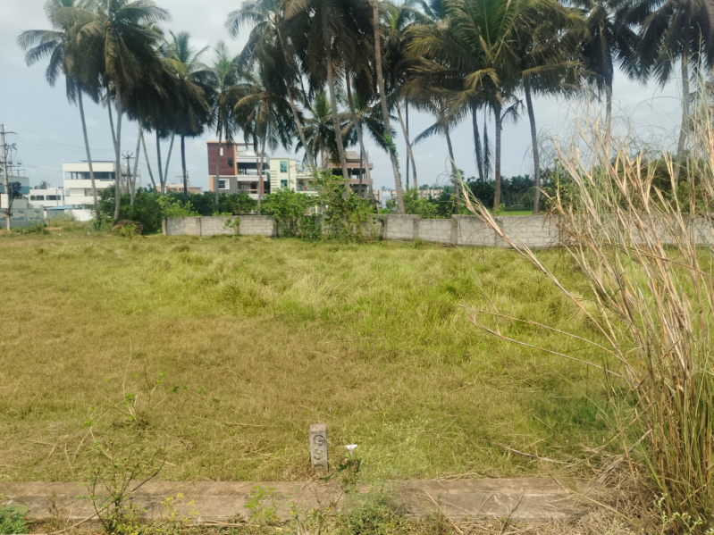  5 Cent Residential Plot for Sale in Amalapuram, East Godavari