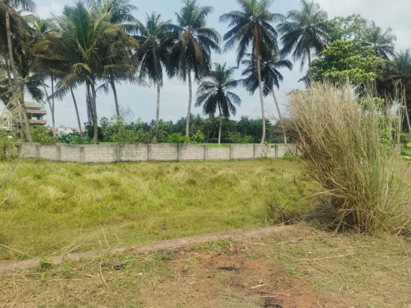  5 Cent Residential Plot for Sale in Amalapuram, East Godavari