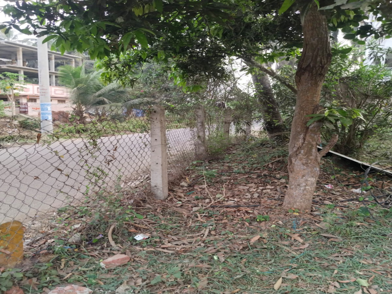  3 Cent Industrial Land for Sale in Amalapuram, East Godavari
