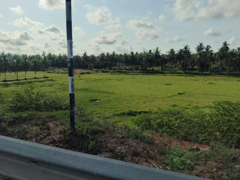  2 Acre Agricultural/Farm Land for Sale in Amalapuram, East Godavari