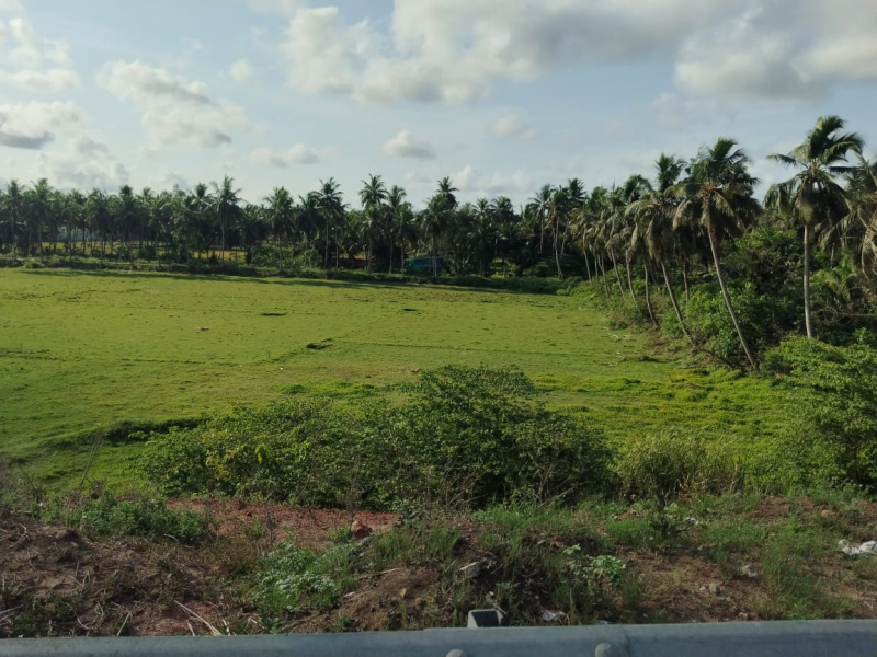  2 Acre Agricultural/Farm Land for Sale in Amalapuram, East Godavari