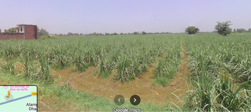  30 Bigha Agricultural/Farm Land for Sale in Rashidpur Garhi, Bijnor