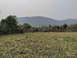 Agricultural Land for Sale in Rasol, Dhenkanal