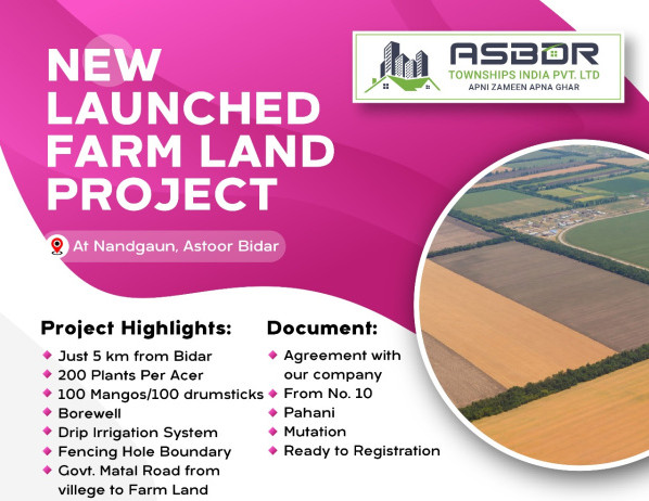  Agricultural Land 1 Acre for Sale in Ashtoor, Bidar