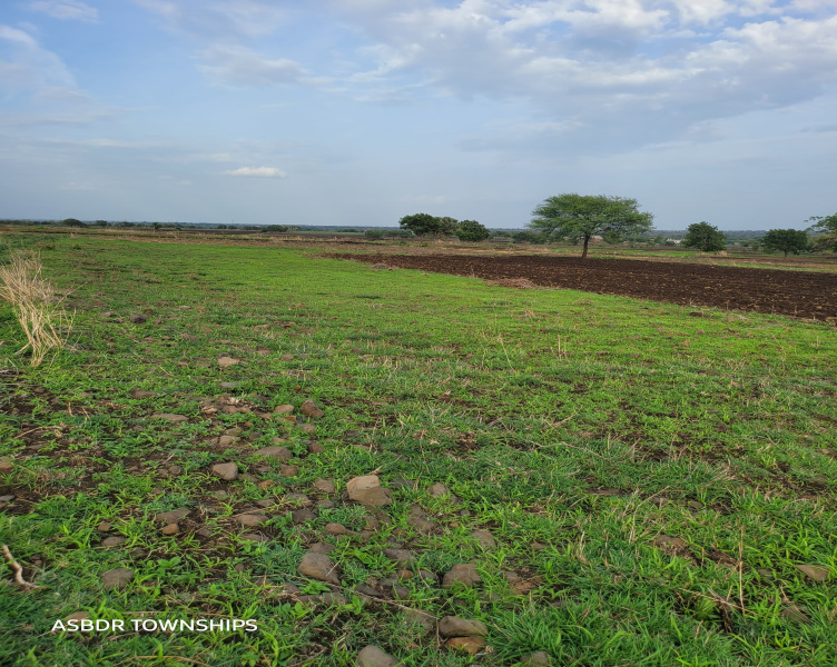  Agricultural Land 1 Acre for Sale in Ashtoor, Bidar