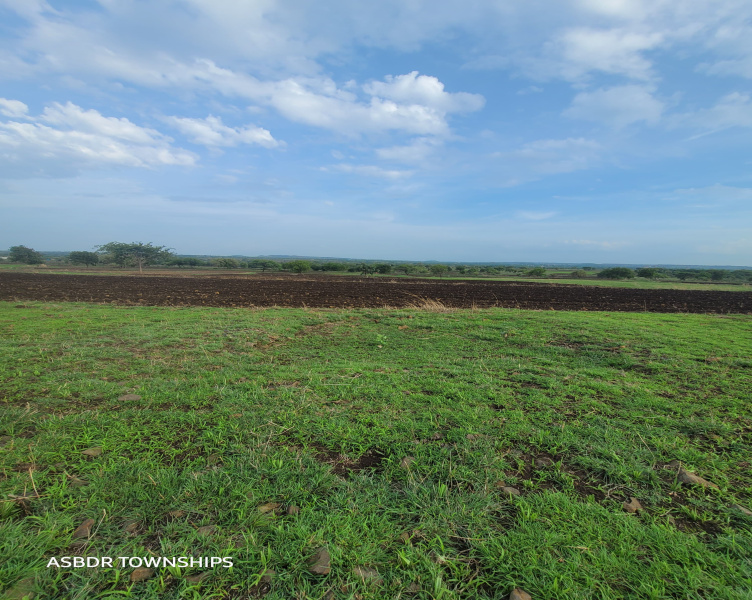  Agricultural Land 1 Acre for Sale in Ashtoor, Bidar