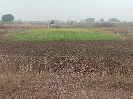  Agricultural Land for Sale in Ratahara, Rewa