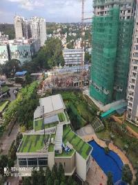 2 BHK Flat for Rent in Rajajinagar, Bangalore