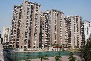 2 BHK Flat for Rent in Sector 120 Noida