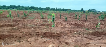  Agricultural Land for Sale in Madhurandagam, Chennai