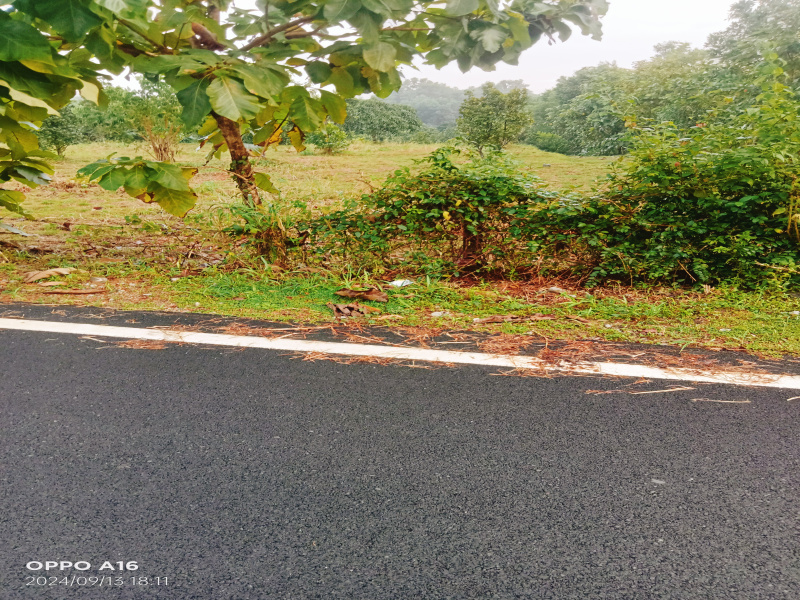  Residential Plot 3 Acre for Sale in Brahmagiri, Udupi