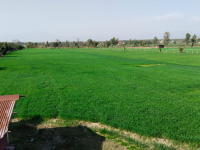  Residential Plot for Sale in Selaqui, Dehradun