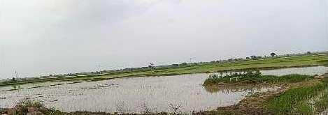 10 BHK Flat for Sale in Shivpuri Road, Sheopur