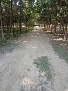  Residential Plot for Sale in Silapathar, Dhemaji