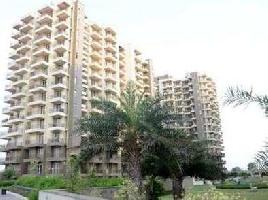 3 BHK Flat for Sale in Sector 24 Dharuhera