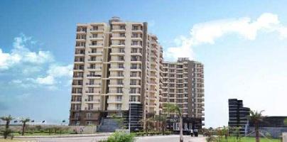 3 BHK Flat for Sale in Sector 24 Dharuhera
