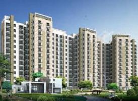 2 BHK Flat for Rent in Sector 24 Dharuhera