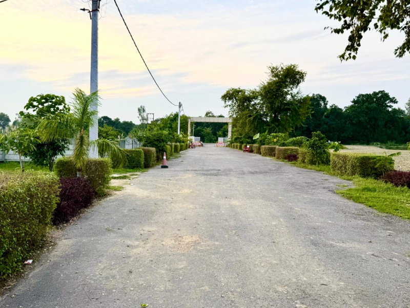  1000 Sq.ft. Residential Plot for Sale in Gosainganj, Lucknow