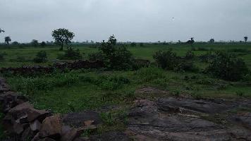  Agricultural Land for Sale in Mandideep, Bhopal