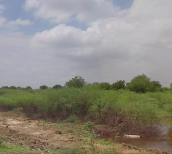  Agricultural Land for Sale in Bhadaj, Ahmedabad