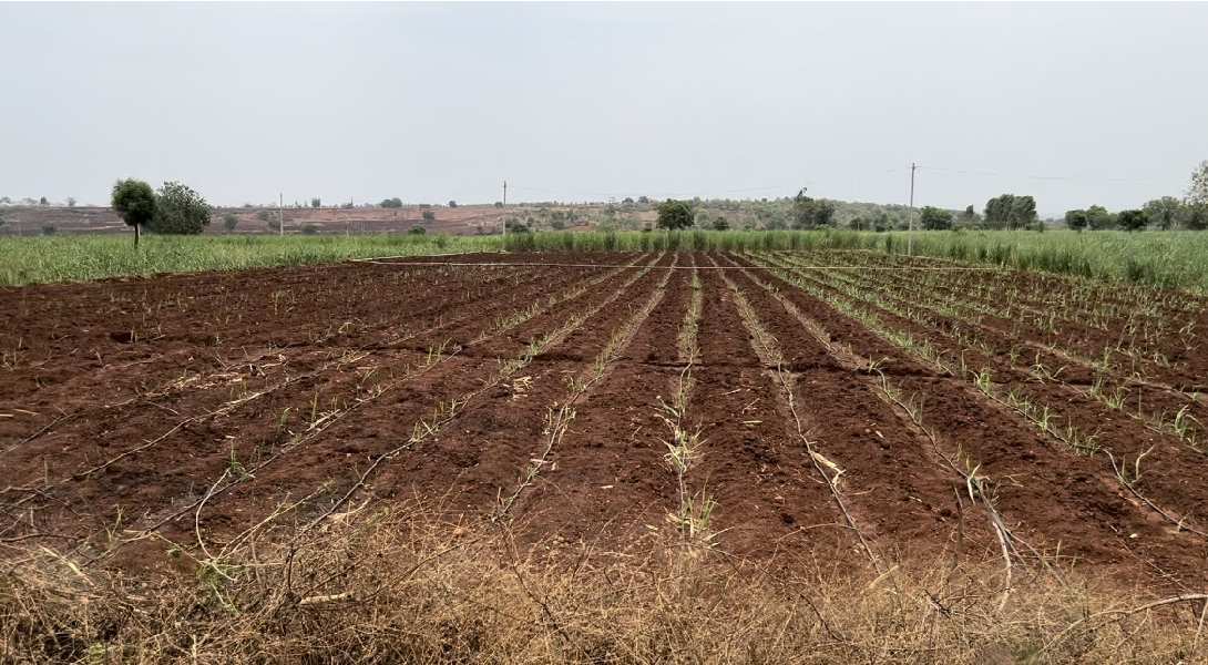 Agricultural Land 76 Acre for Sale in Humnabad, Bidar