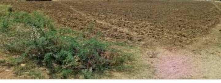 Agricultural Land for Sale in Rajgurunagar Khed, Pune