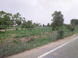  Agricultural Land for Sale in Jatusana, Rewari