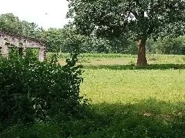  Agricultural Land for Sale in Bondamunda, Sundergarh