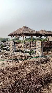  Residential Plot for Sale in Dholera, Ahmedabad