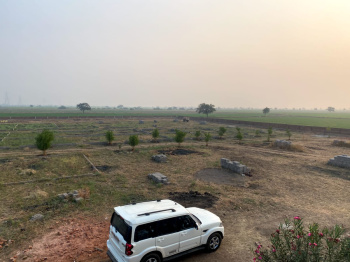  Residential Plot for Sale in Dholera, Ahmedabad