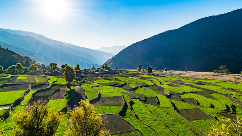  240 Sq. Yards Residential Plot for Sale in Lansdowne, Pauri Garhwal